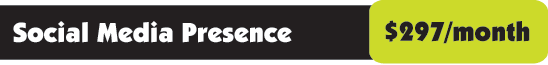 Social media marketing services - economy Social media marketing services - economy