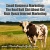Small Business Marketing: The Real Bull Shit About Get Rich Quick Internet Marketing