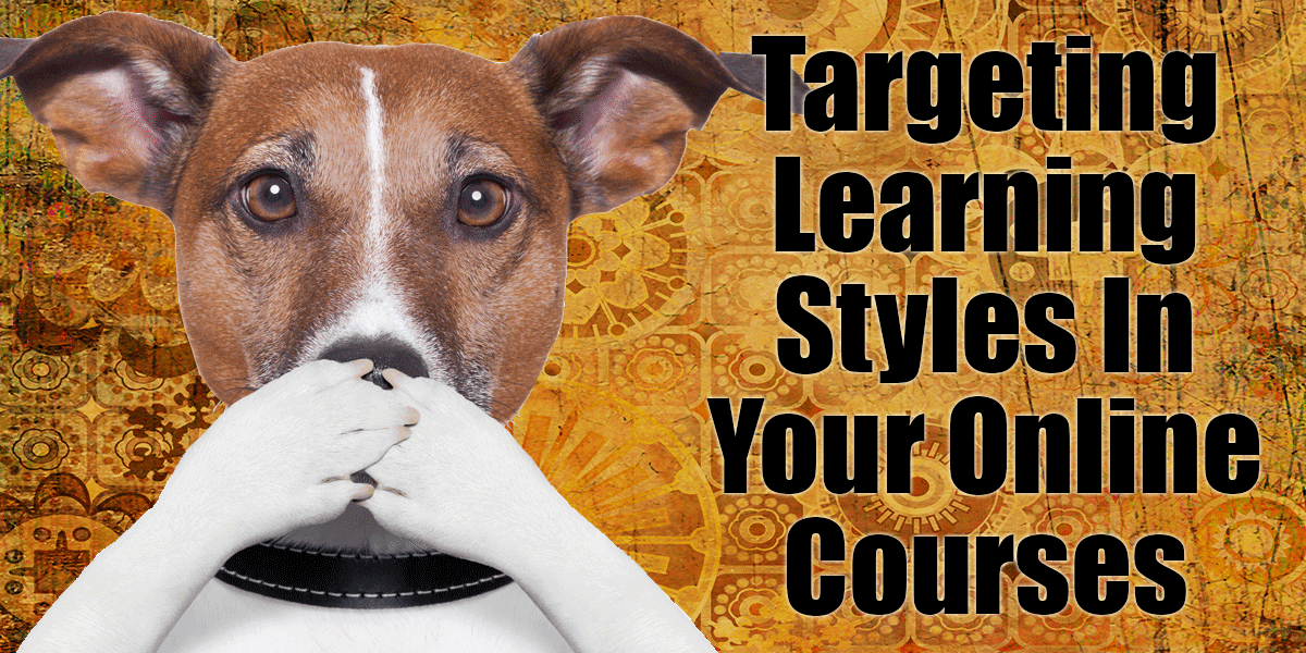 Targeting Learning Styles In Your Online Courses