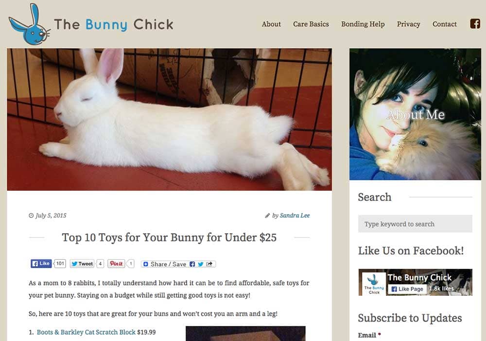 The Bunny Chick - Niche Website