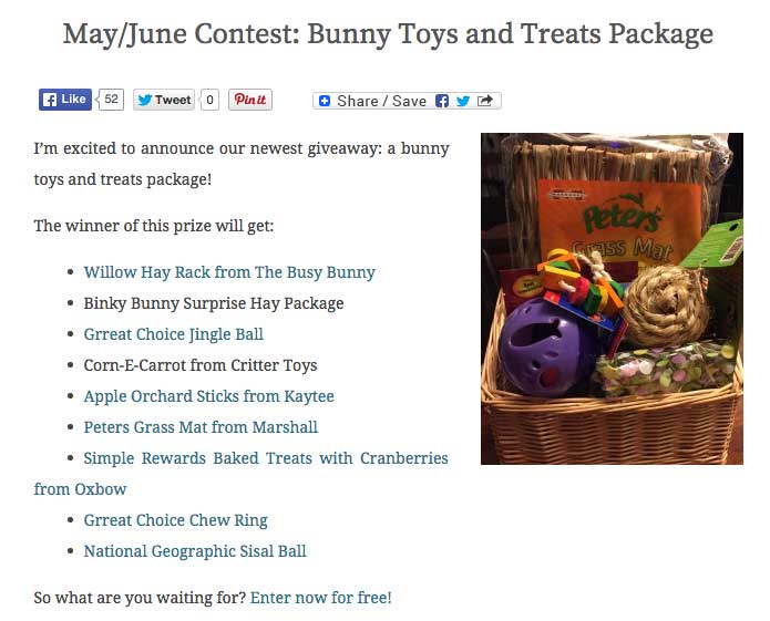 Toy Treats Package - Bunny Niche
