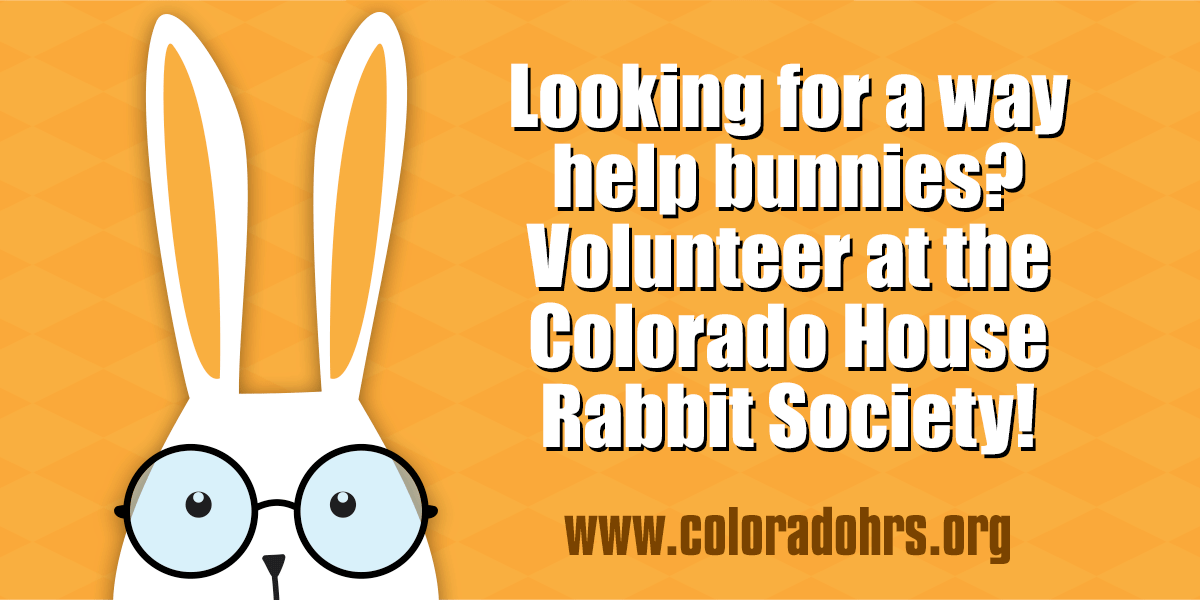 Facebook banners to recruit non profit volunteers