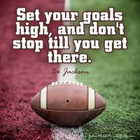 Set your goals high, and don't stop till you get there. Bo Jackson