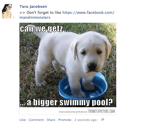 Screen Capture - Cute dog in swimming pool