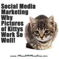 Social Media Marketing - Why Pictures of Kittys Work So Well