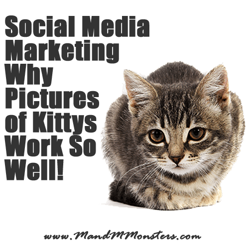 Social Media Marketing - Why Pictures of Kittys Work So Well