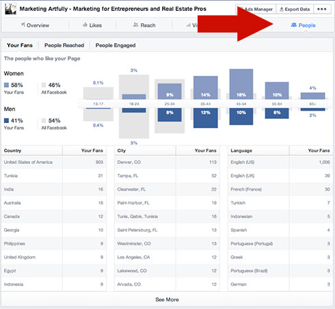 Customer Demographics From Facebook