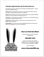 Non Profit Volunteer Flyer