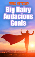 How To Set (And Achieve) A Big Hairy Audacious Goal | Marketing Artfully