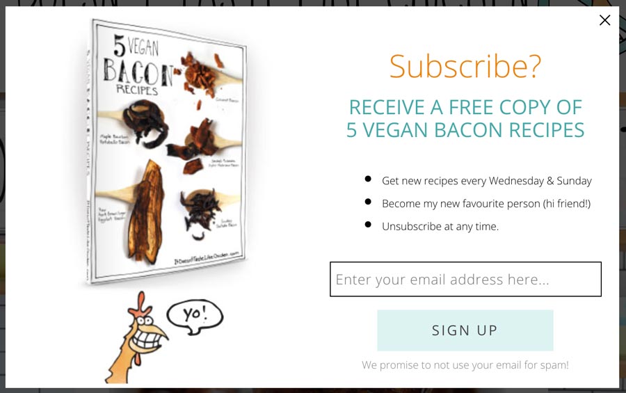Vegan Bacon Free Offer
