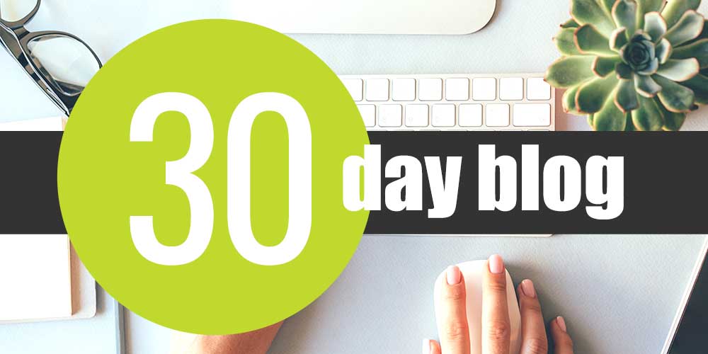 30 Day Blog