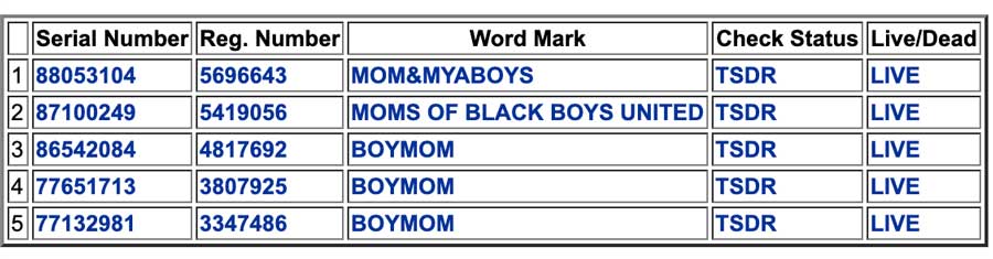 Boymom Trademark Search Result