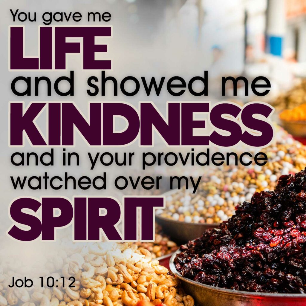 You gave me life and showed me kindness, and in your providence watched over my spirit. Job 10:12