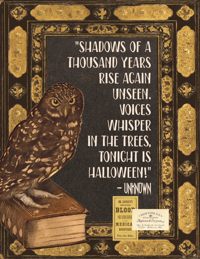 Creepy Owl Halloween Quote Free Printable Poster