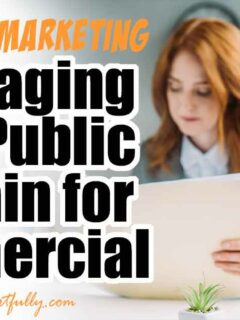 Leveraging Free Public Domain for Commercial Use