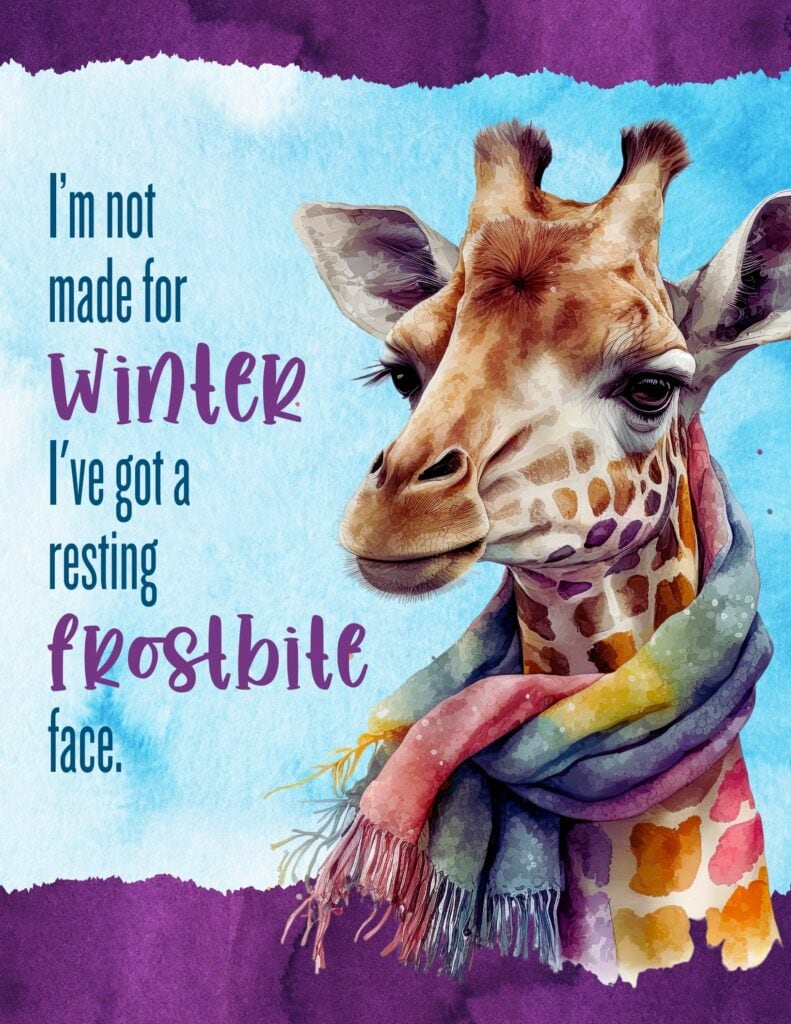 Resting Frostbite Face! Free printable planner cover or dashboard!