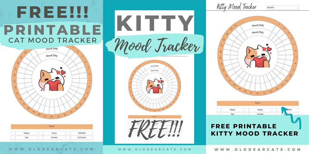 Pinterest Pins For Free Printable Giveaway