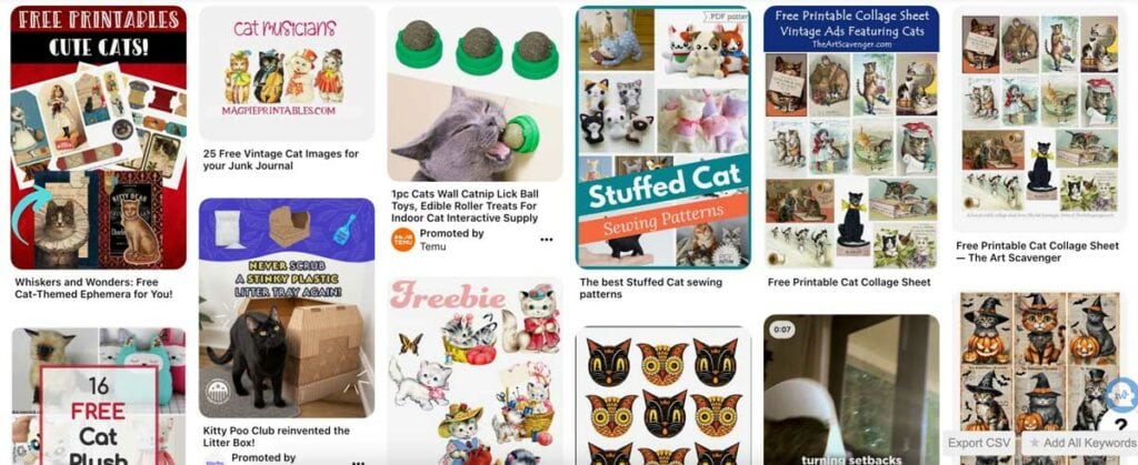 Do a Pinterest Search for your kind of freebie