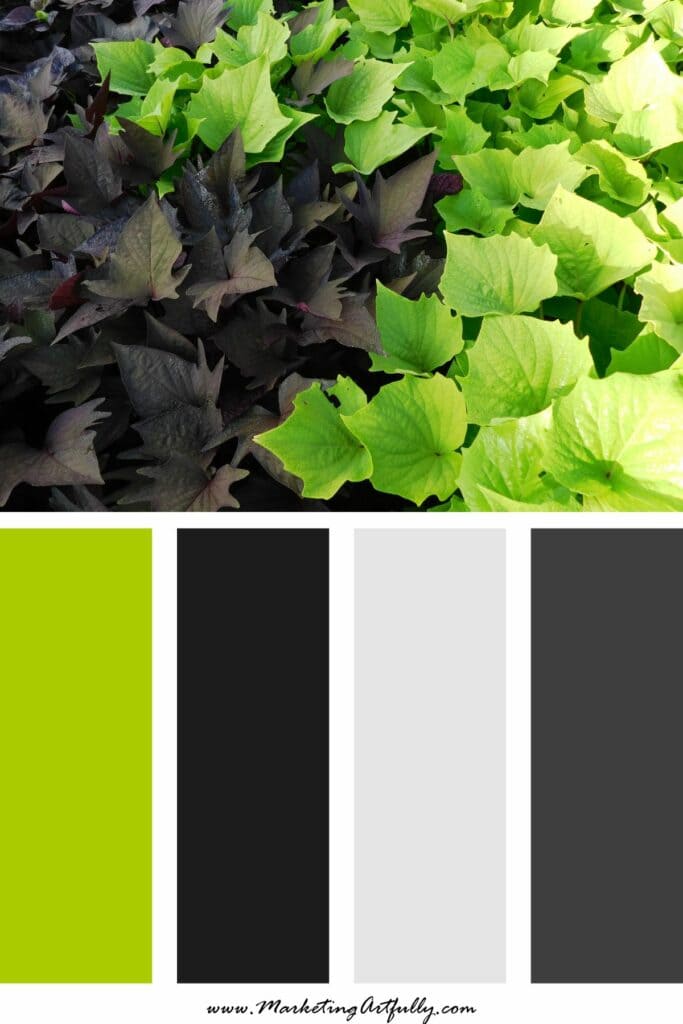 11 Bold Branding Color Palettes That Stop the Scroll